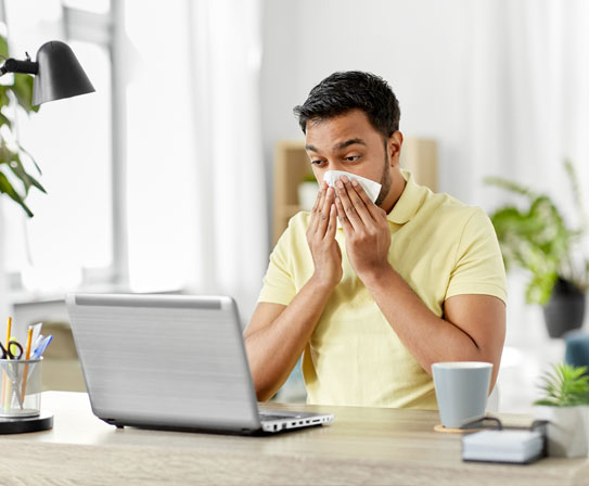 Allergy Solutions